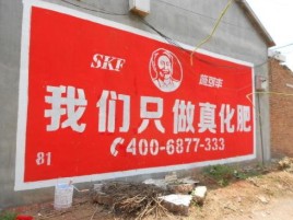 新蔡刷墙广告”蕴含了时代命题