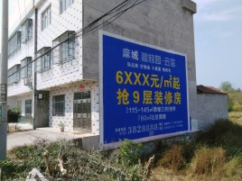 新蔡墙体广告质量分析