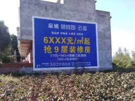 新蔡墙体广告的好处