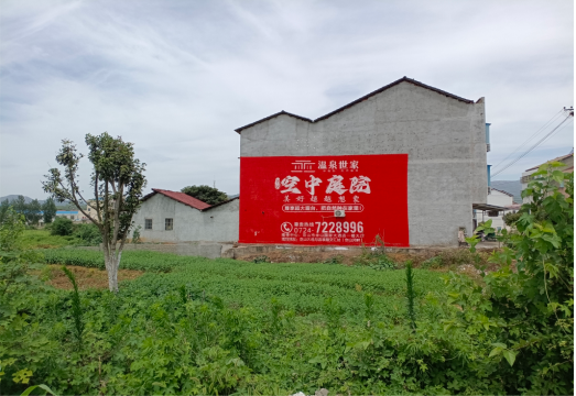 新蔡做墙体广告的意义