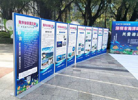 新蔡KT板的种类和知识。